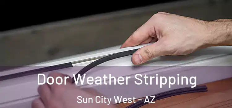  Door Weather Stripping Sun City West - AZ