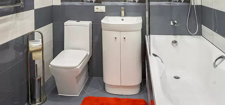 Hansgrohe Shaving Mirror Sun City West